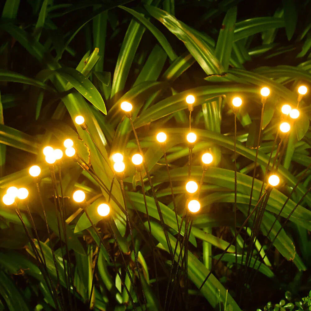 Kaliiqo™ – Firefly Lights