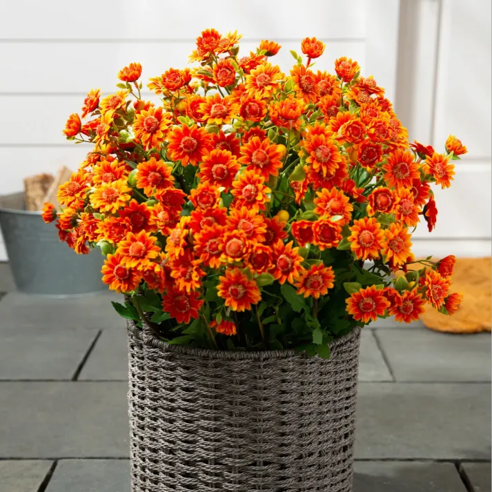 š„Last Day Each- Artificial Outdoor Sunset Mums Flowers - Waterproof, Windproof