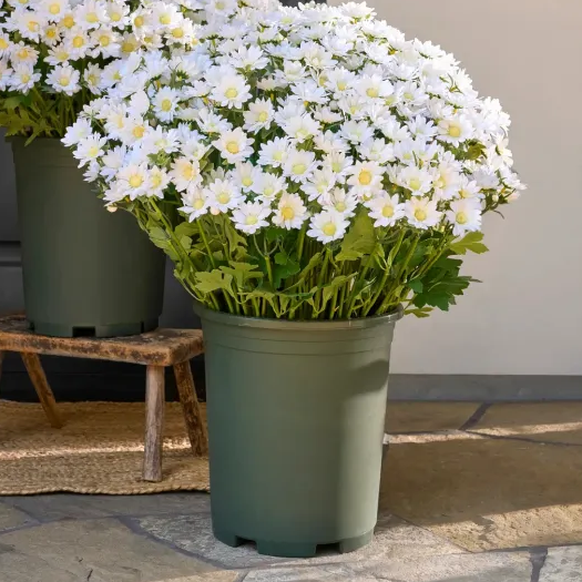 š„Last Day Each- Artificial Outdoor Sunset Mums Flowers - Waterproof, Windproof