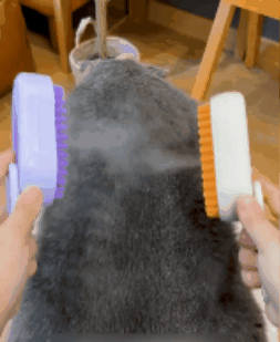 🐕🦺 PetAura Pet Grooming Brush