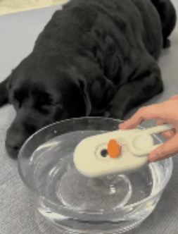 🐕🦺 PetAura Pet Grooming Brush