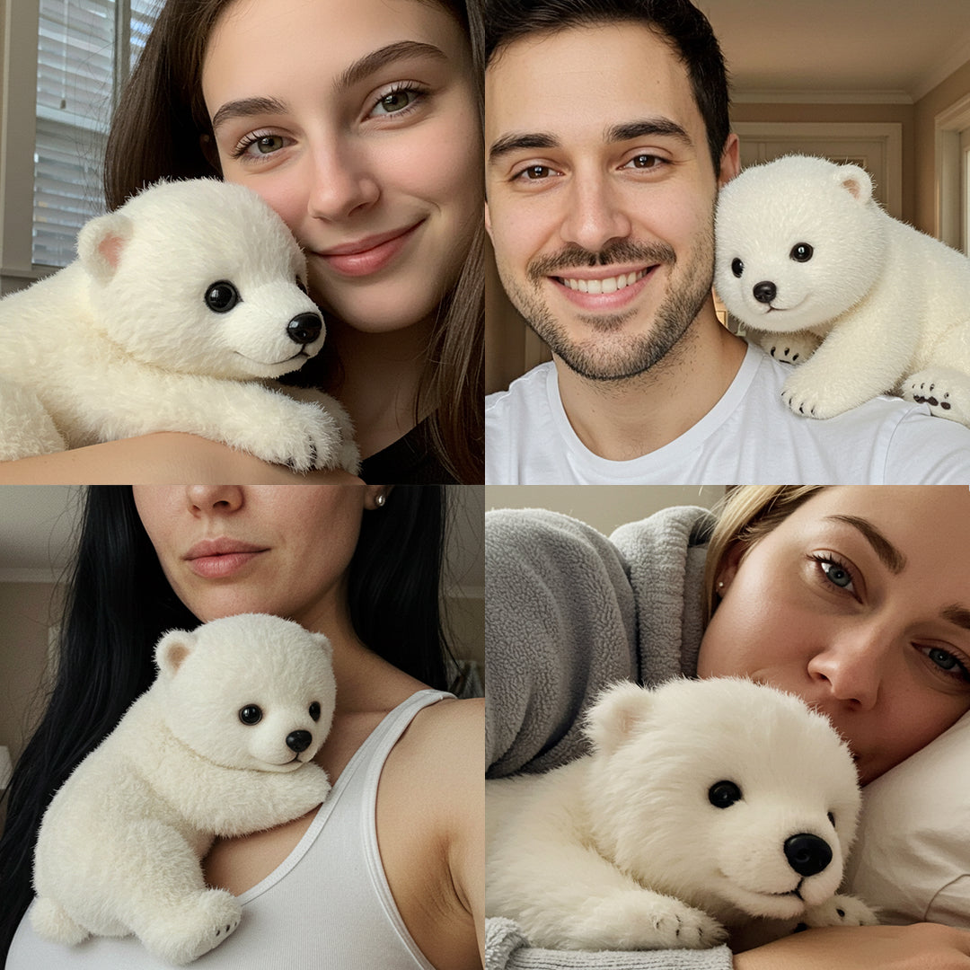 🐻❄️Poly™ the Bear