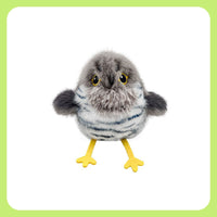 Cuckoo