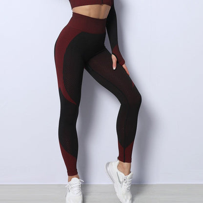 Proshiny™ Thermal Cycle Shaping Leggings - Made in USA